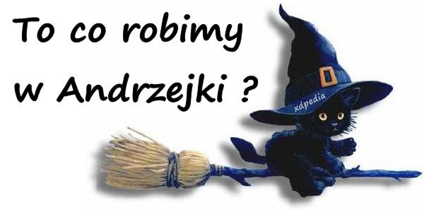 Czarny kot zastanawia się co będzie robić w andrzejki